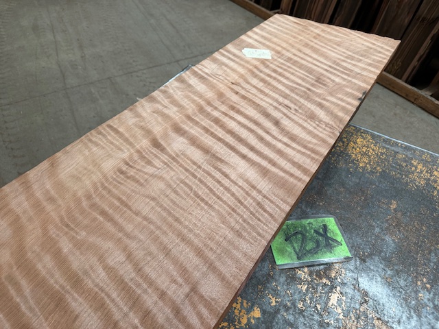 Curly Redwood 2X