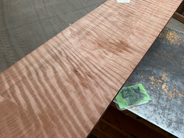 Curly Redwood 3X