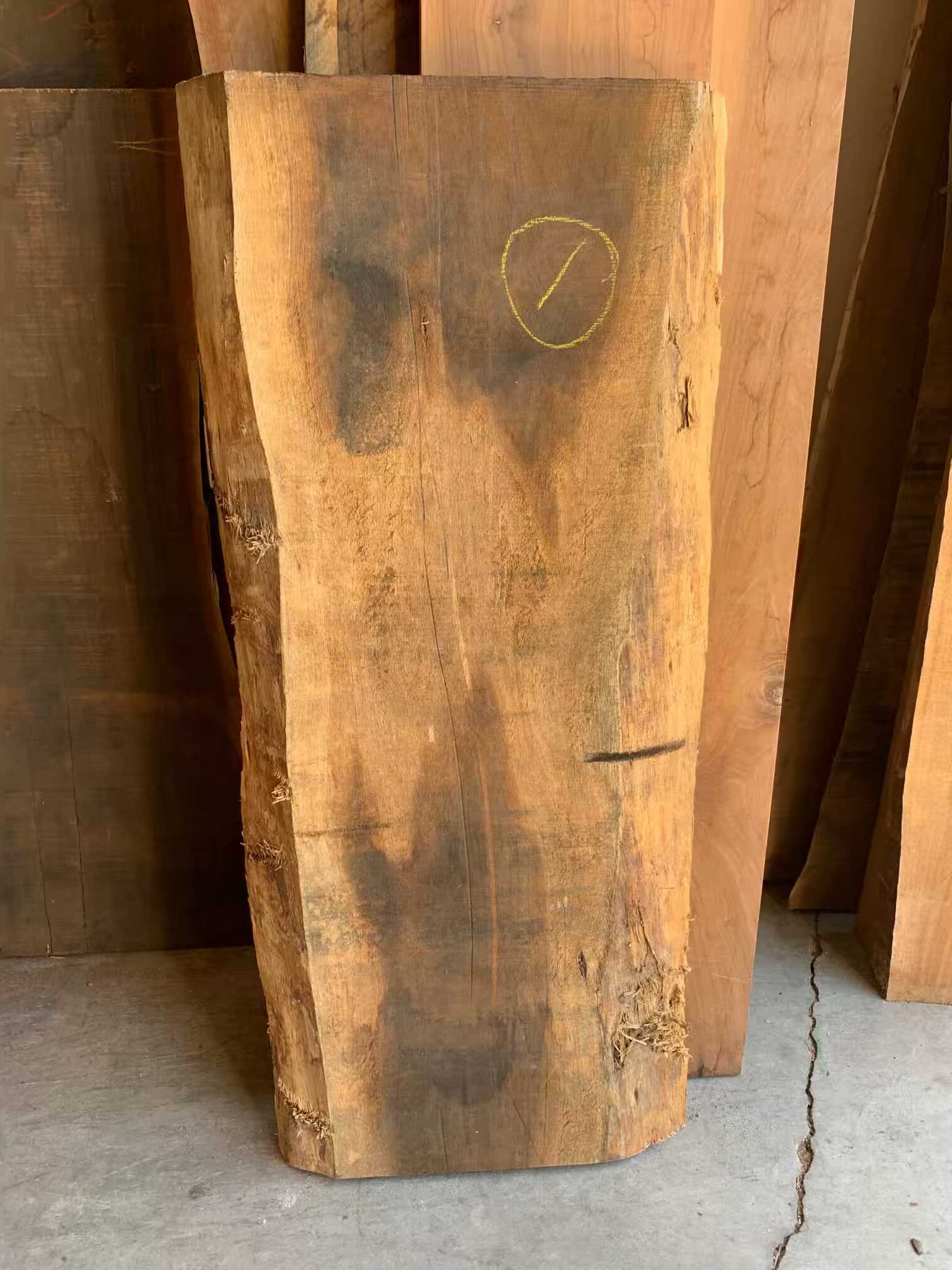 Tasmanian Black Acacia (Blackwood) Slab 1 Live Edge Tropical Exotic