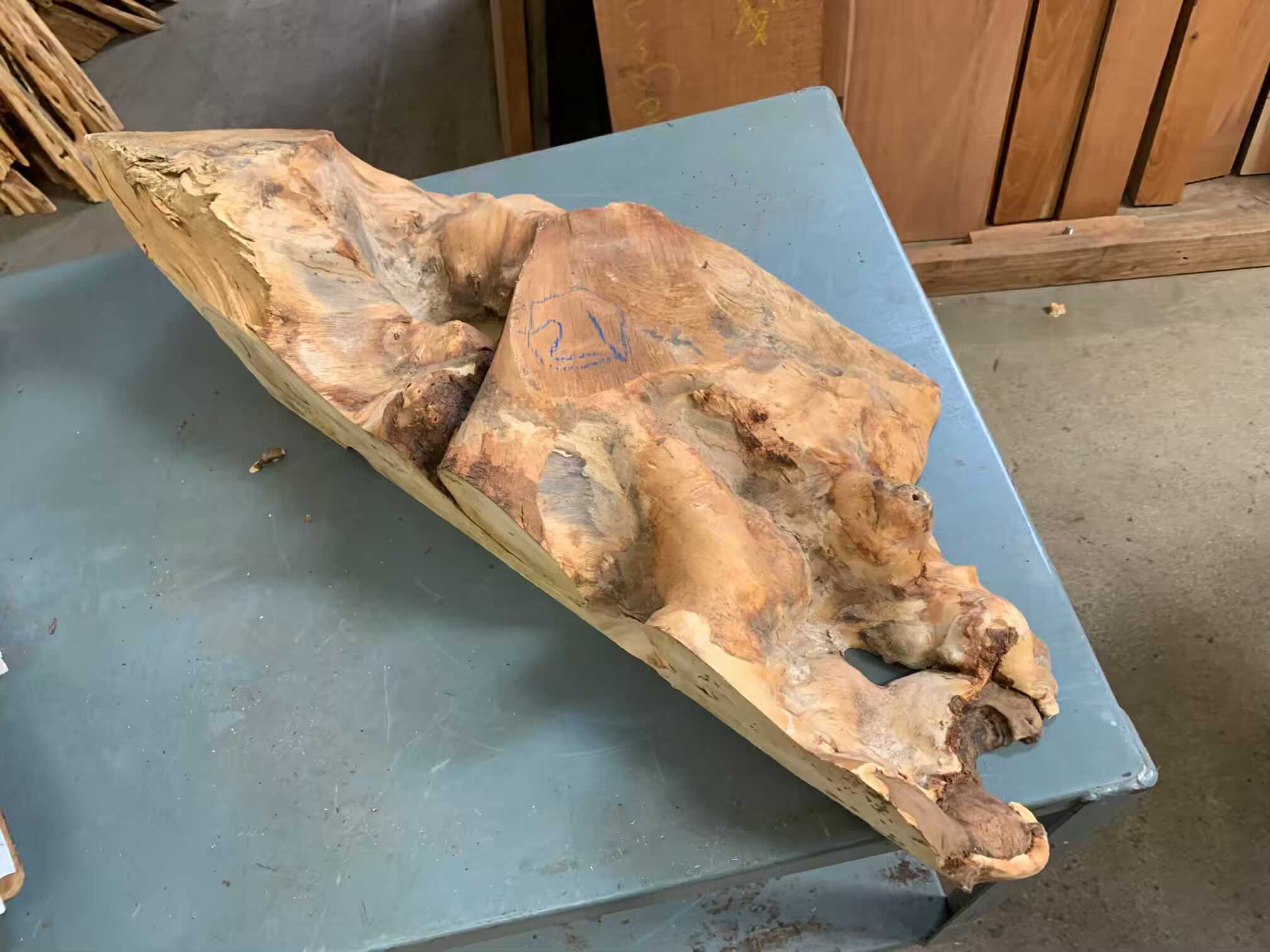 Buckeye Burl 21 Tropical Exotic Hardwoods