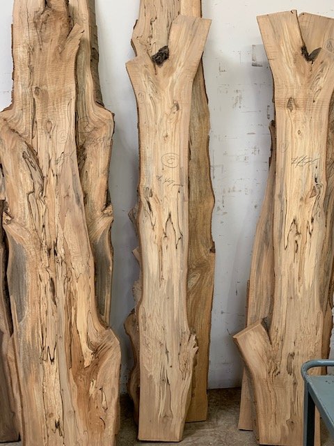 Spalted Alder Slab #8 | Tropical Exotic Hardwoods