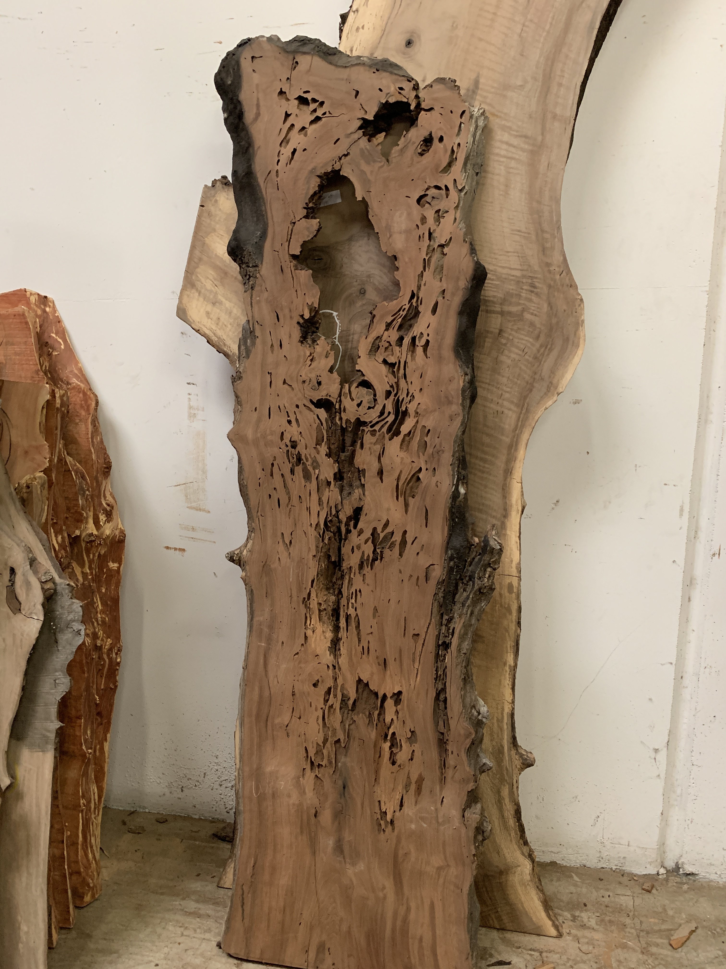 Black Walnut Slab 32 Tropical Exotic Hardwoods