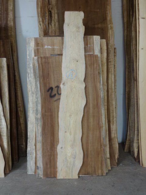 Monterrey Pine Slab #6 | Tropical Exotic Hardwoods