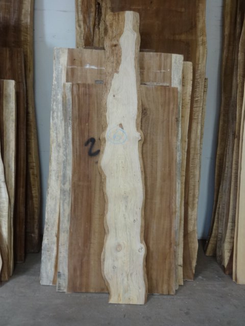 Monterrey Pine Slab #6 | Tropical Exotic Hardwoods