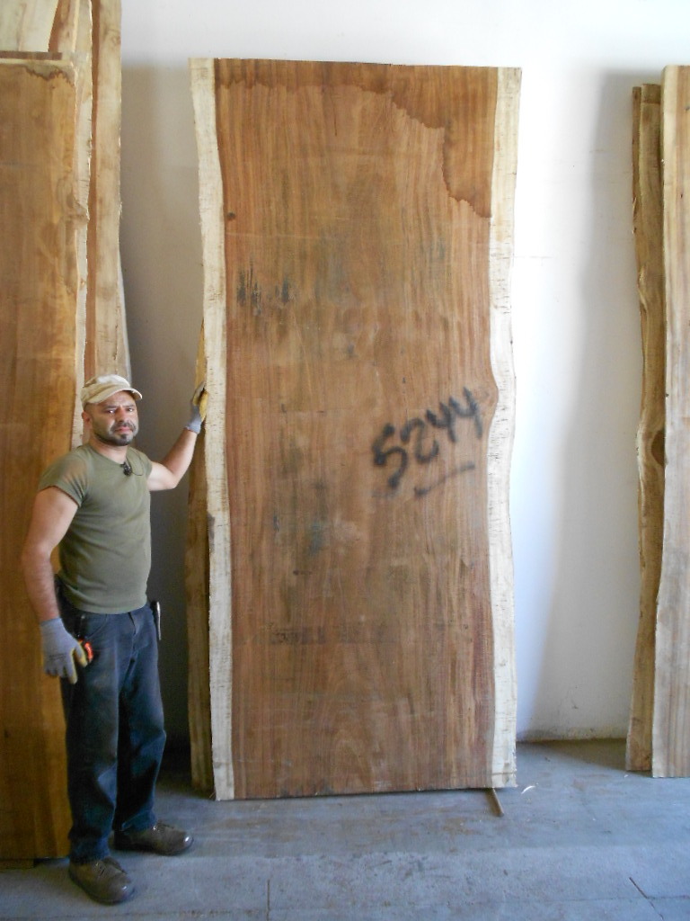Parota Slab 5244 Live Edge Tropical Exotic Hardwoods