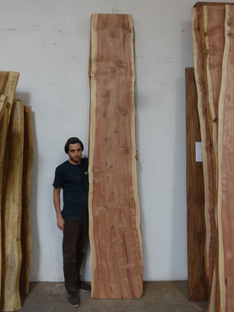 Redwood Slab #24 Natural Edge | Tropical Exotic Hardwoods