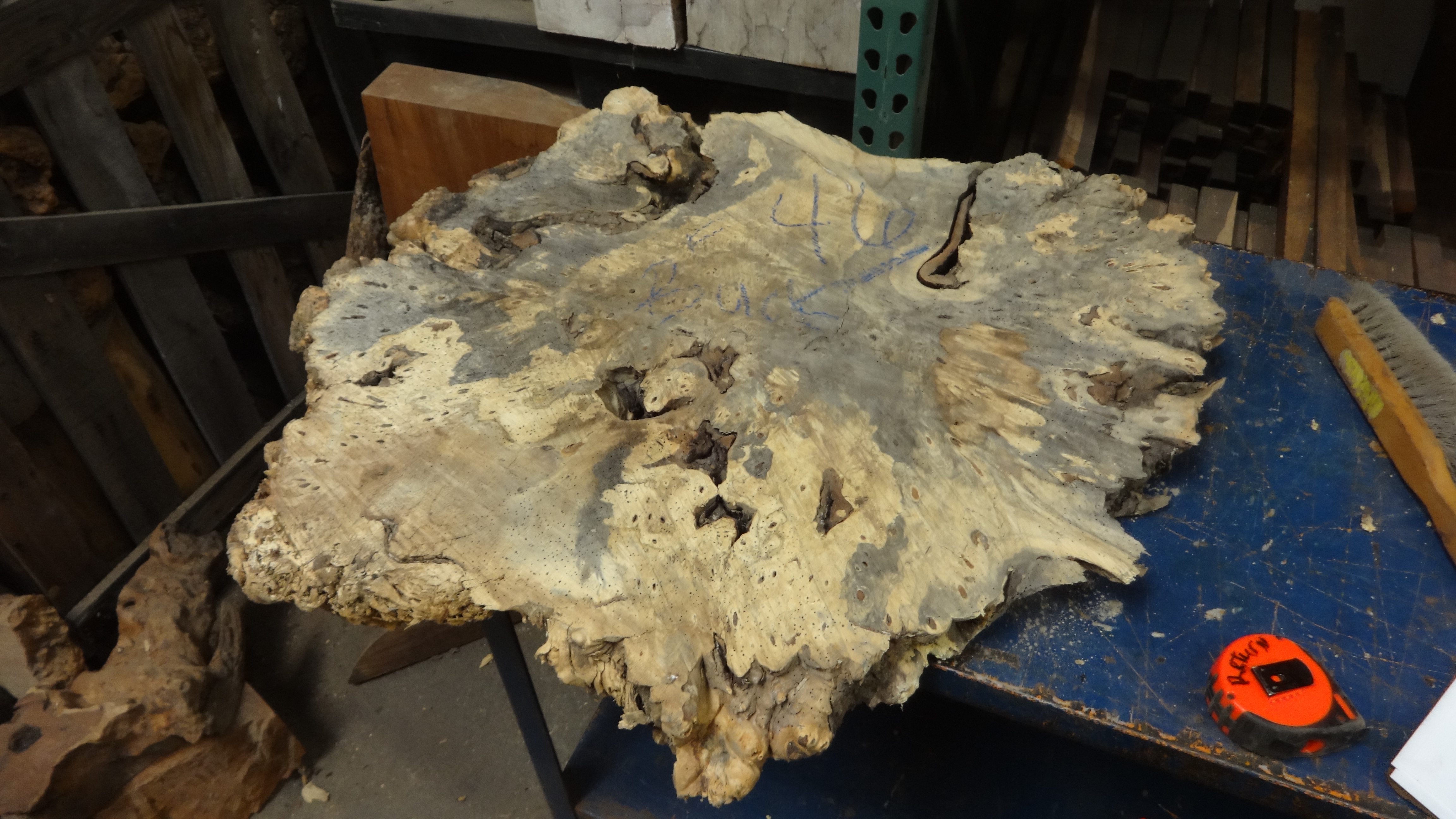 Buckeye Burl 46 Tropical Exotic Hardwoods