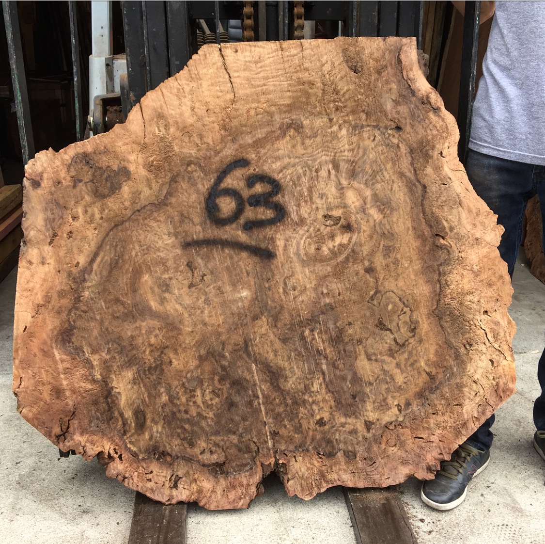 burl coffee tables burl coffee tables
