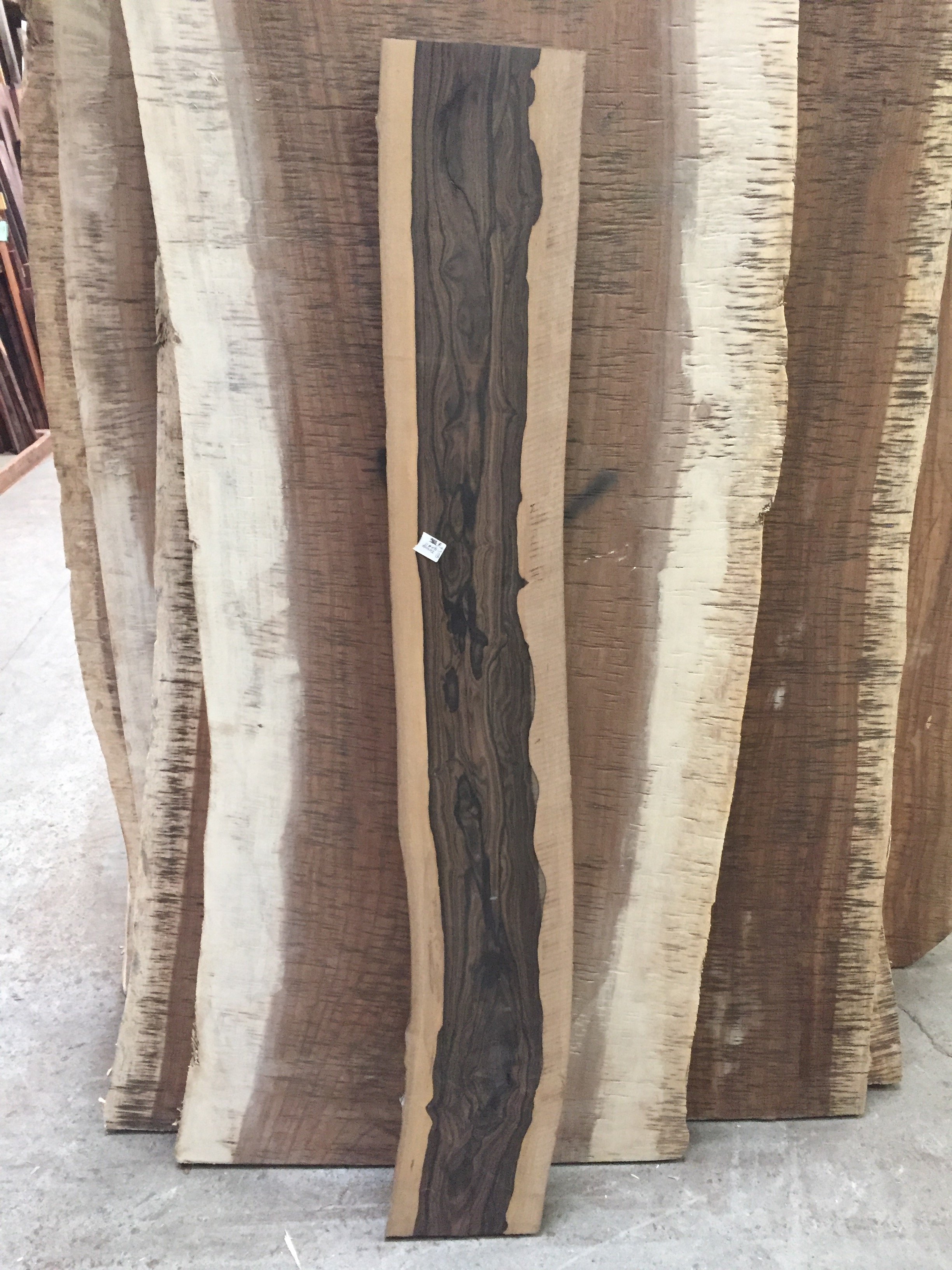 Ziricote Slab 11 Live Edge Tropical Exotic Hardwoods