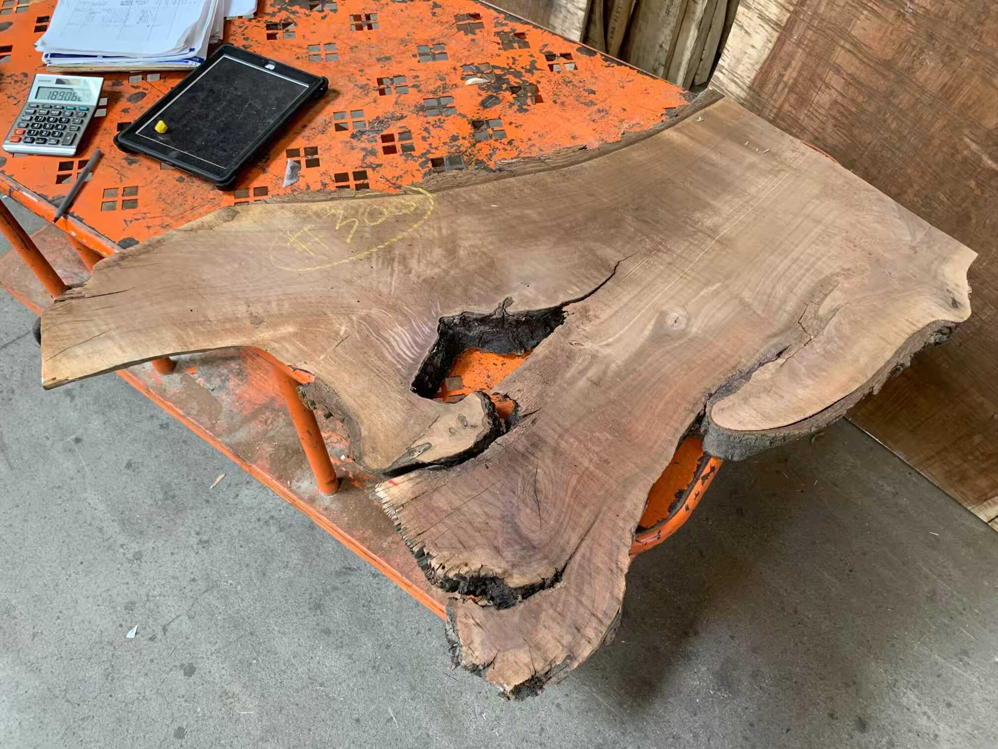 Black Walnut Slab 300 Tropical Exotic Hardwoods