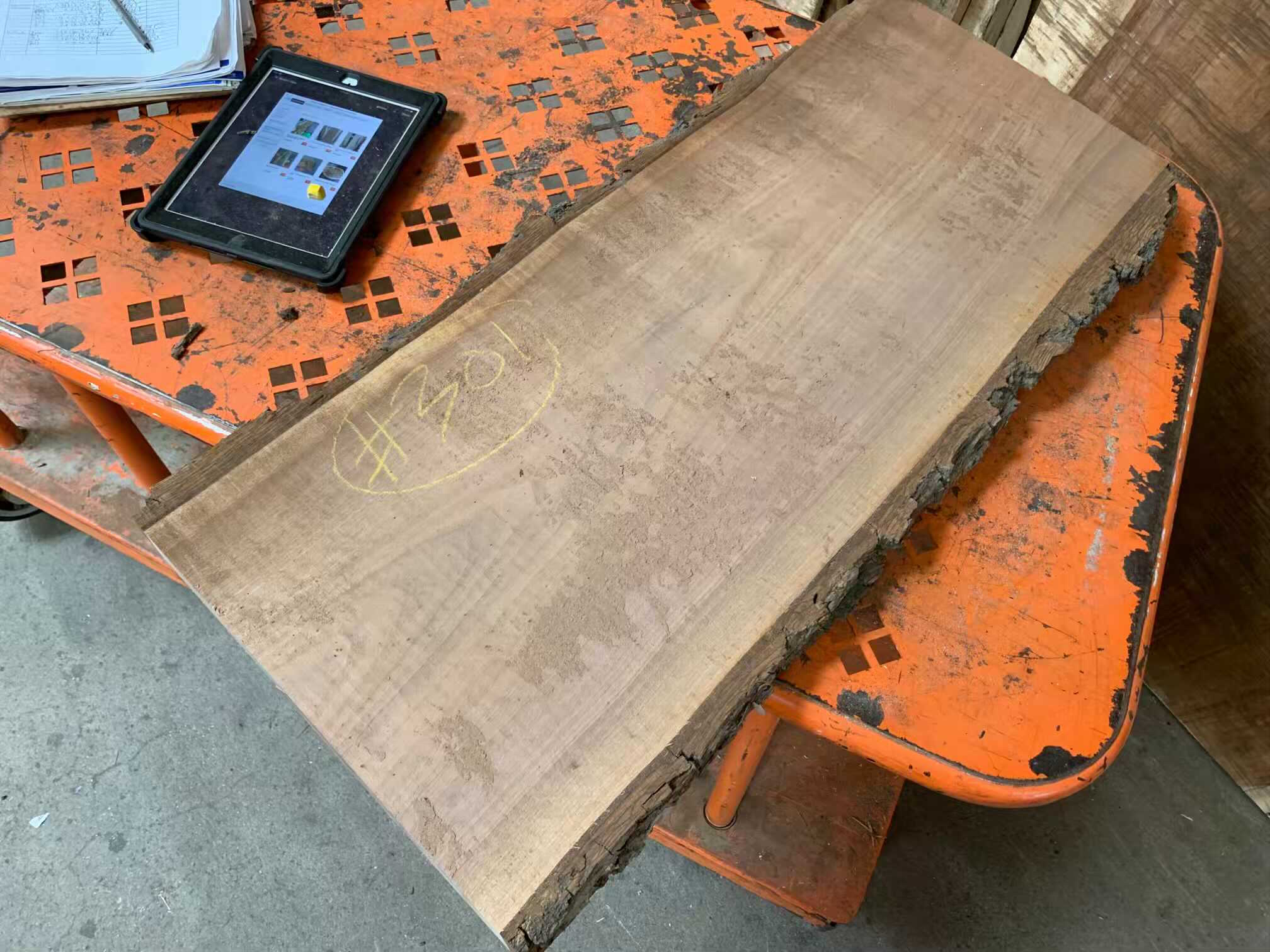 Black Walnut Slab 301 Tropical Exotic Hardwoods