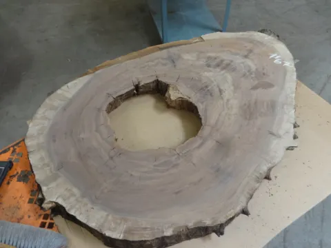 1_22_walnut_67.jpg