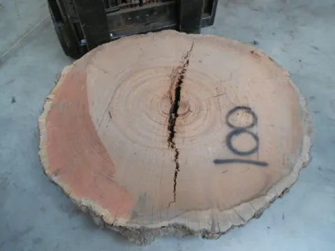bubinga_8.jpg