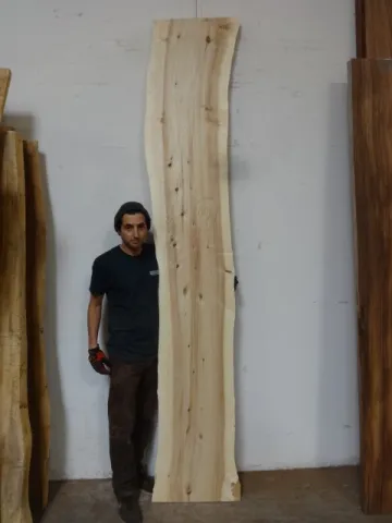 cottonwood3.jpg