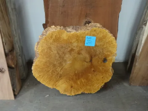mapleburl1.jpg