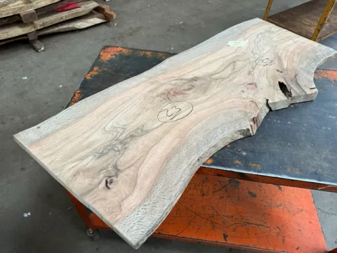 oak23.jpg