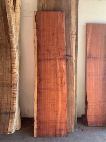 padauk23.jpg