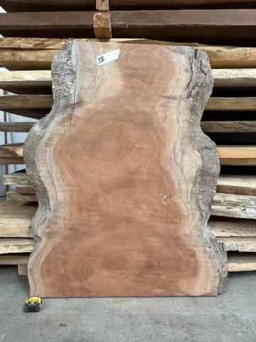 sapele1b.jpg