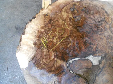 walnut_burl_504_cu.jpg