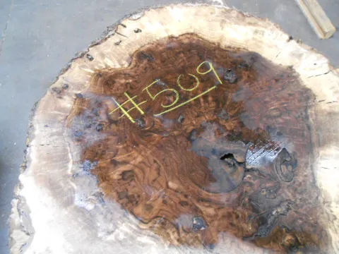 walnut_burl_509_cu.jpg