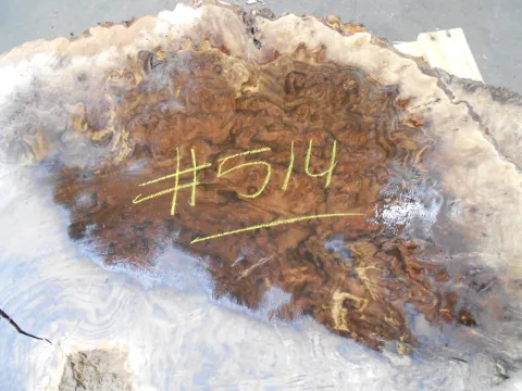 walnut_burl_514_cu.jpg