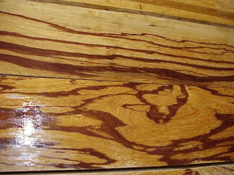 marblewood.jpg