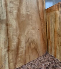 Canarywood Bowl Blank/wood turning/exotic Woods 8x8x2” Exotic Hardwoods 