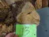 1_oak13_7.jpg