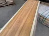 canarywood1_4.jpg