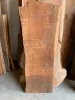mesquite3_back.jpg