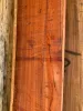 padauk23_2.jpg