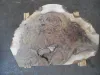 walnut_burl_504.jpg