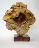 indonesian_coffeewood_burl_sculpture_on_cocobolo_base_by_customer_bob_rosenfield.jpg